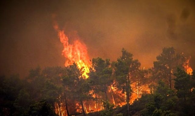 Greqia në alarm, e “pushtojnë” zjarret