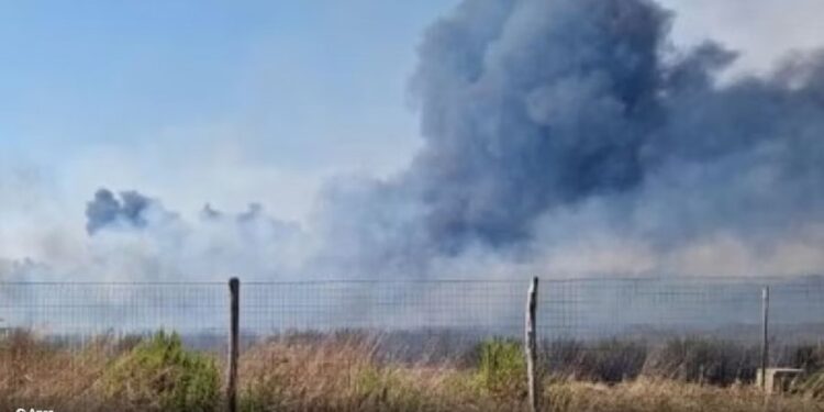 Zjarr i madh pranë aeroportit të Romës, mbyllet një nga pistat