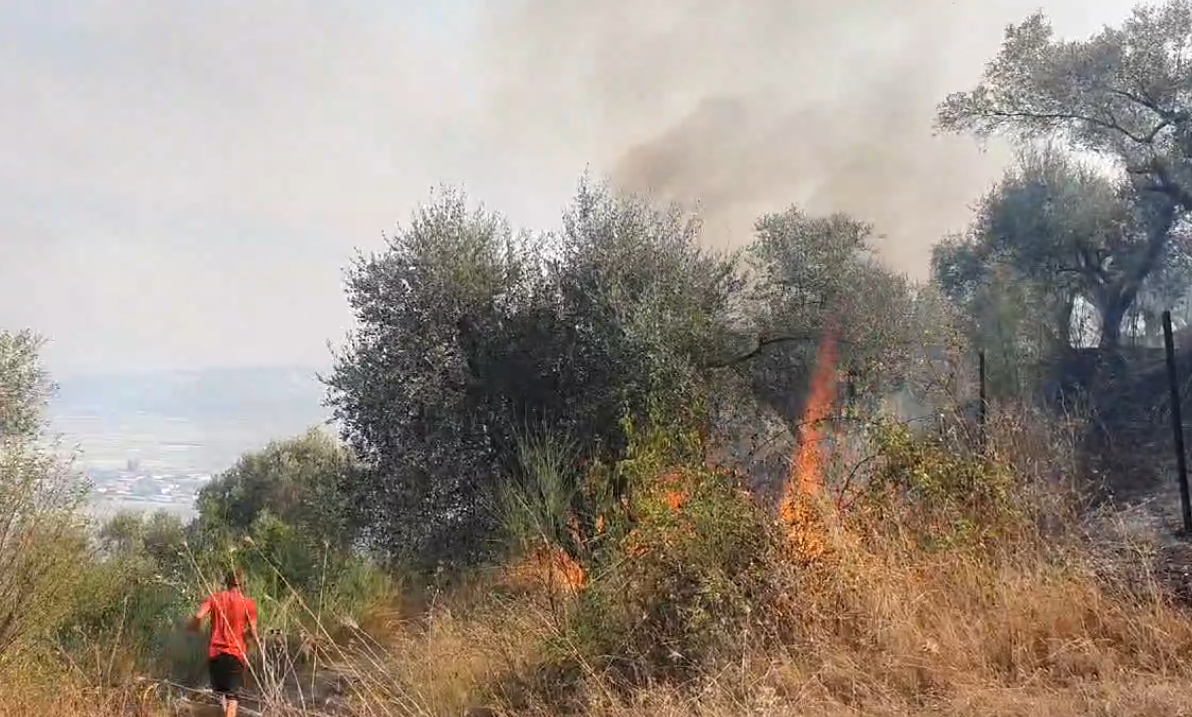 I vuri zjarrin pemës, por rrezikoi të digjte një biznes, arrestohet 64-vjeçari