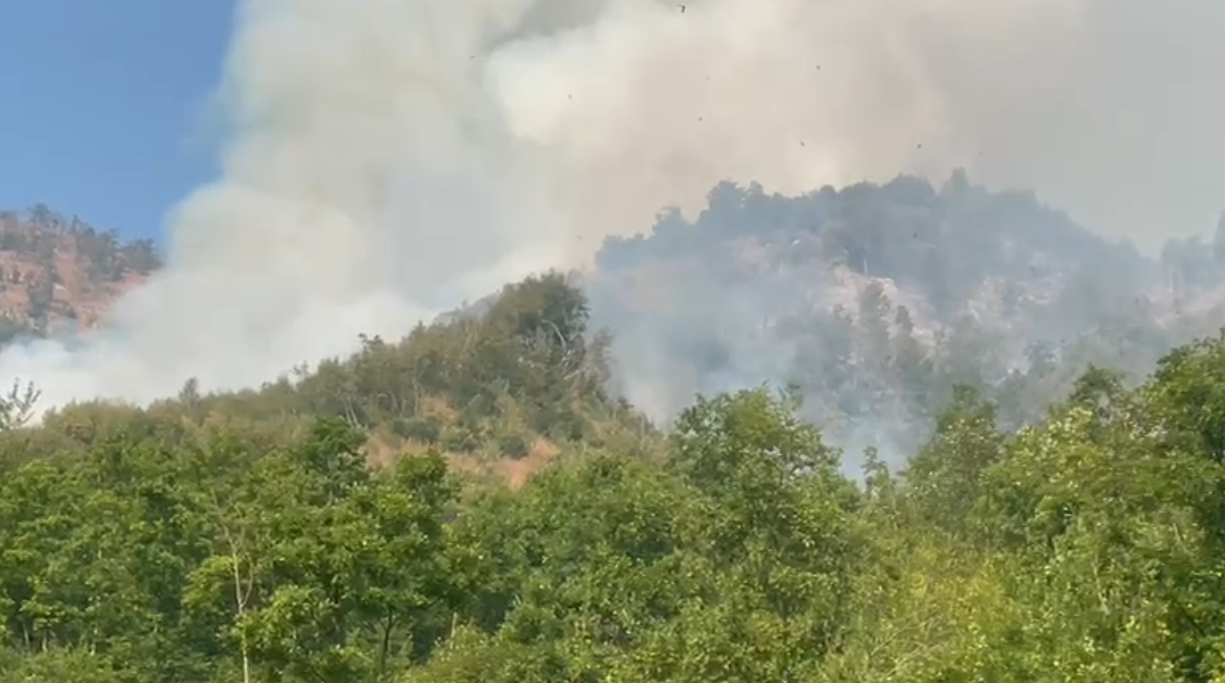 Vijojnë zjarret masive në Bulqizë, digjen qindra hektarë pyje