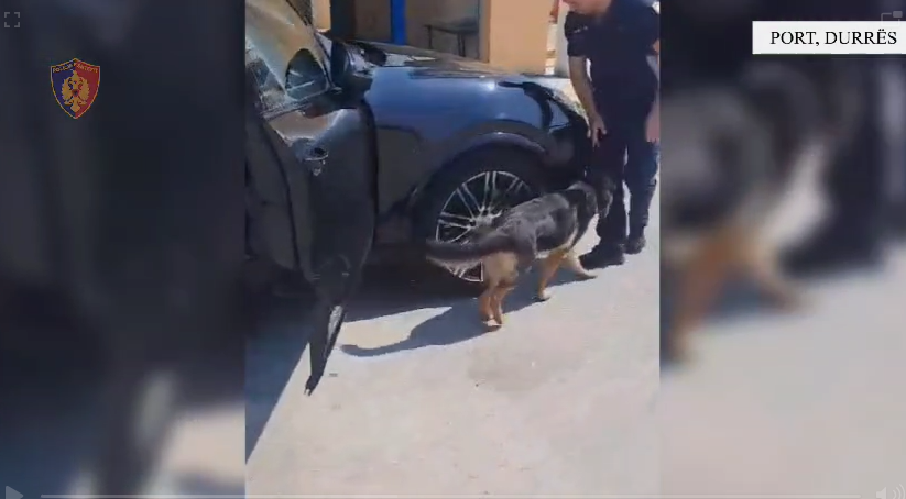 Me “Porsche” që kërkohej nga Zvicra vjen në portin e Durrësit, policia i zbulon 24 mijë euro të fshehura italianit (VIDEO)