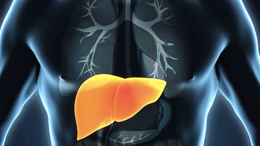 Shenjat që tregojnë se keni sëmundjen e mëlçisë së dhjamosur