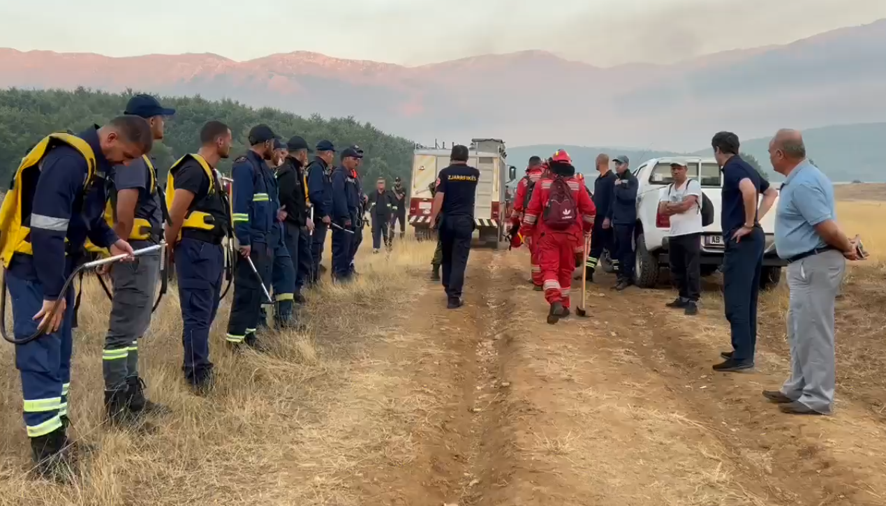 Zjarri prek edhe Parkun Kombëtar të Prespës, kryetari i bashkisë Pustec: Sot është dita vendimtare, si paraqitet situata