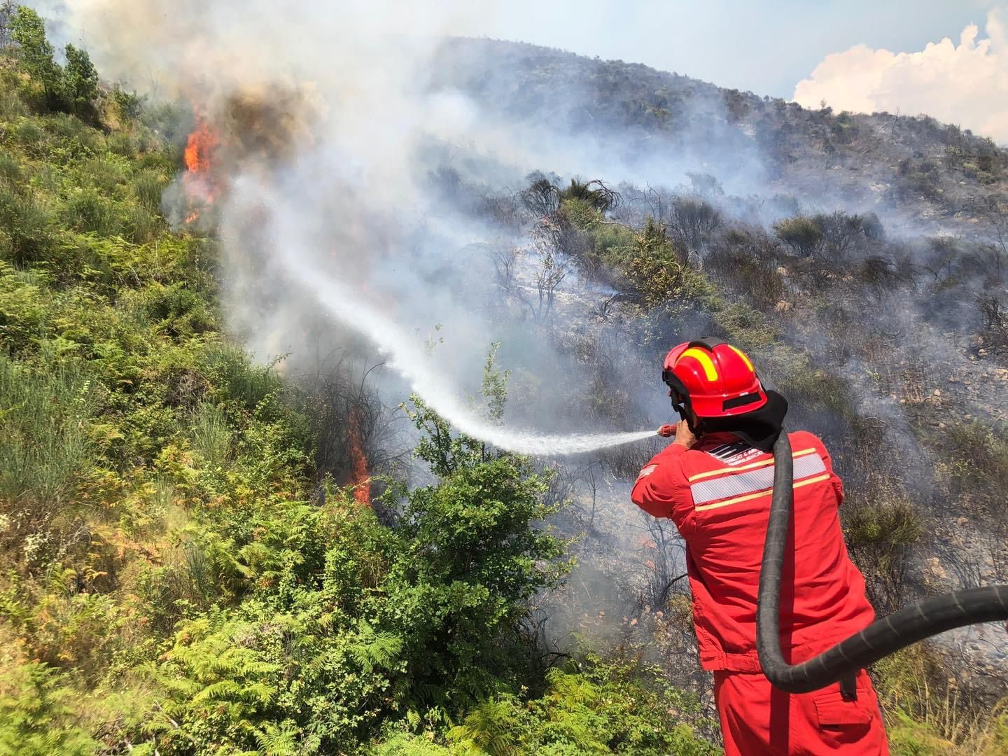 Aktivizohet një vatër zjarri në Parkun e Tomorit, terreni vështirëson punën për shuarjen e flakëve