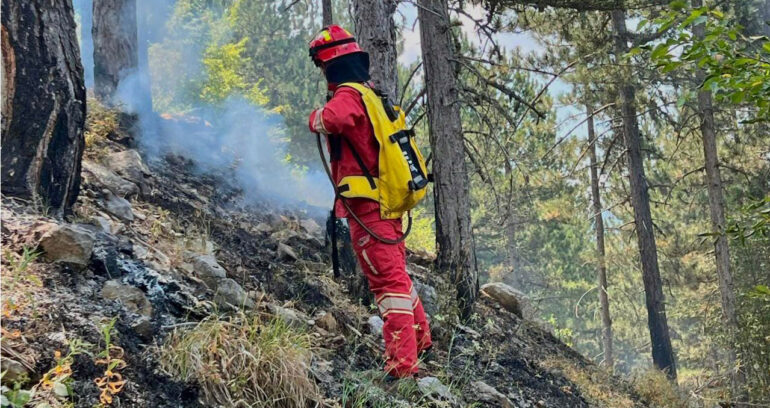 Situata me zjarret, Ministria e Mbrojtjes publikon të dhënat e fundit: Në 24 orë u raportuan 28 vatra zjarri, gjashtë ende aktive