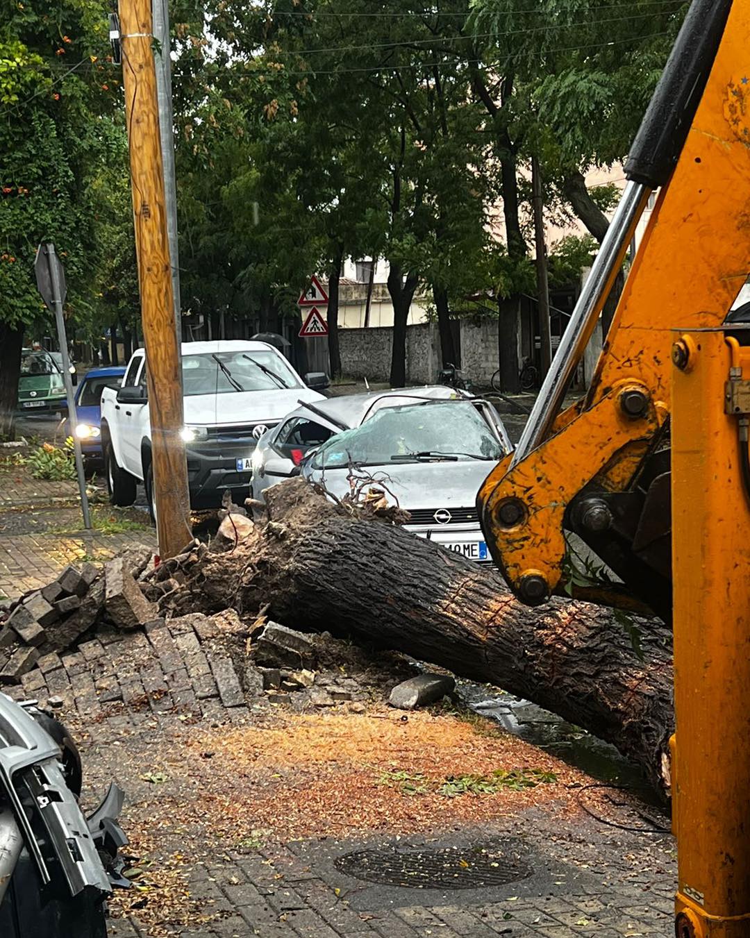 Moti i keq në Shkodër/ Era e fortë rrëzon pemët, njëra prej tyre bie mbi makinën e parkuar!