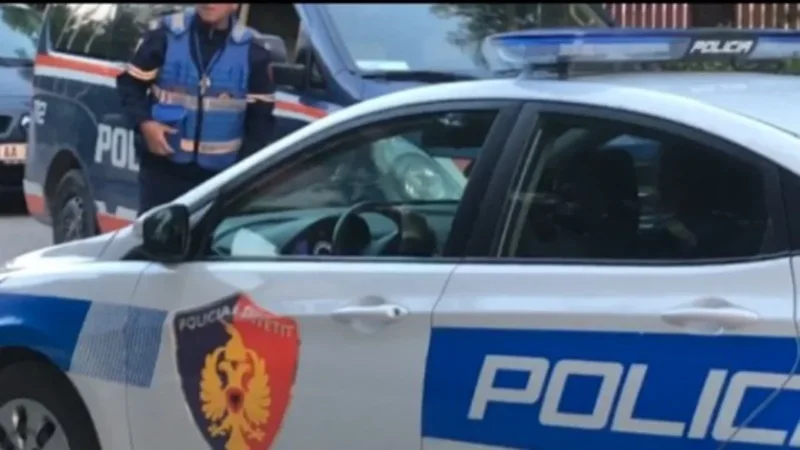 Përndjekje e dhunë në familje, arrestohen 4 persona, procedohen disa të tjerë