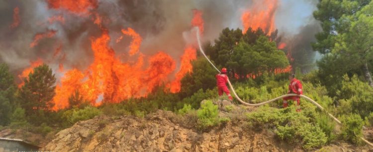 Situata e zjarreve në vend, Ministria e Mbrojtjes: 5 vatra aktive