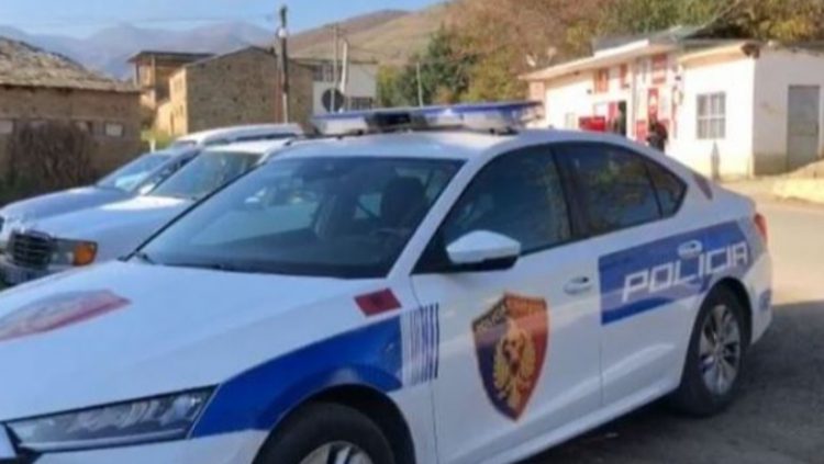 Ushtroi dhunë ndaj bashkëjetueses, arrestohet 33-vjeçari