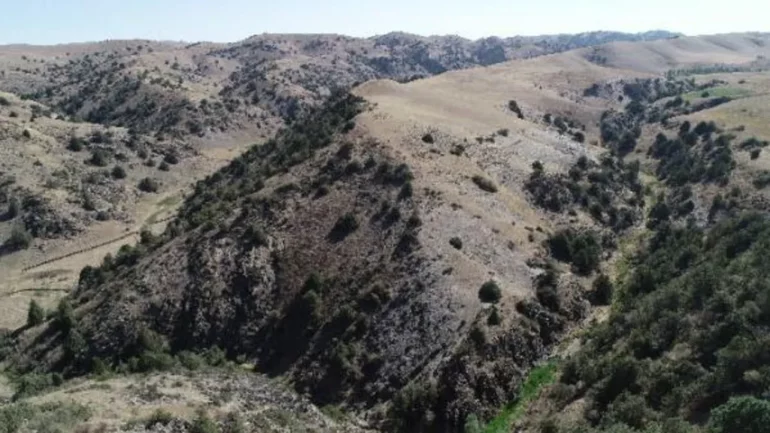 Qytetet e humbura të Rrugës së Mëndafshit u zbuluan në malet Uzbekistan