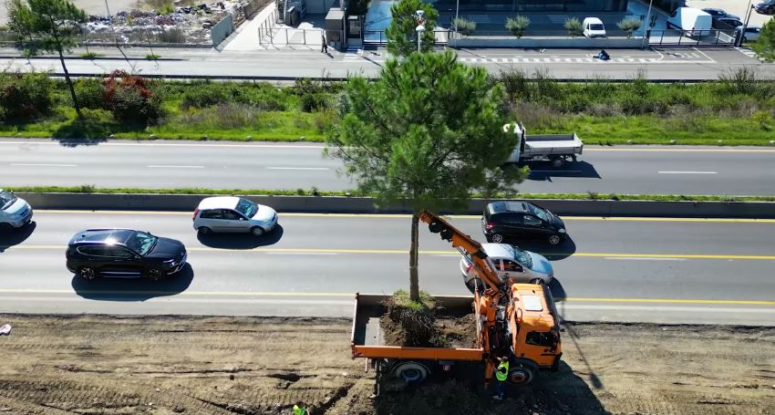 Punimet për zgjerimin e autostradës Tiranë-Durrës, Veliaj zbulon se ku do të zhvendosen pemët