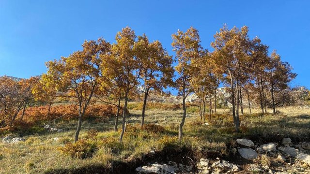 Temperatura deri në 25 gradë, çfarë pritet të ndodhë me motin këtë të martë