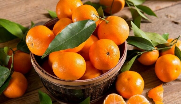 Lëngu magjik për imunitetin, limona jeshilë dhe mandarina