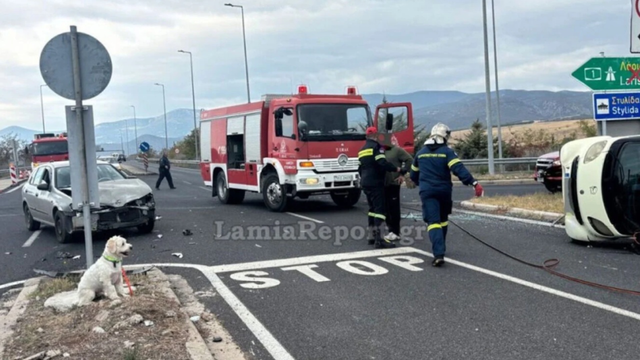 E trishtë: 54-vjeçari vdes në aksident, qeni i tij del nga automjeti dhe e pret (FOTO)