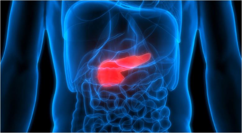 I njohur si “vrasësi i heshtur”, ja simptomat që lidhen me kancerin e pankreasit