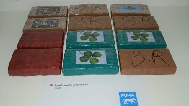 Kapet me 12 kg kokainë me vlerë 1.2 milionë euro, arrestohet 36-vjeçari shqiptar në Austri