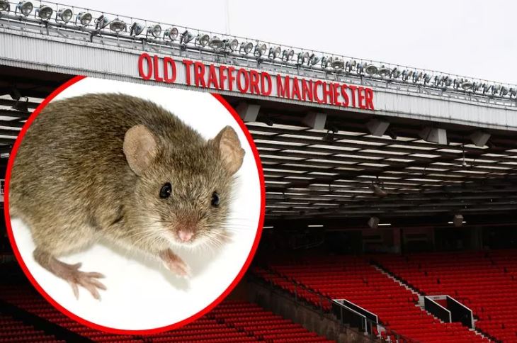 Minjtë vazhdojnë të jenë vizitorë në “Old Trafford”, u gjetën te kioska që shet ushqim për tifozët