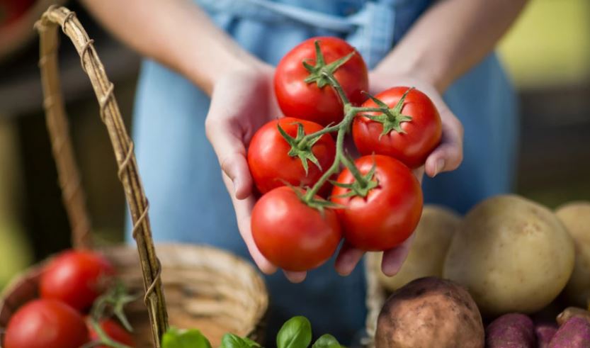 Mund ta përkeqësoni gjendjen tuaj! Eliminoni menjëherë domatet nga dieta juaj nëse keni ndonjë nga këto kushte shëndetësore