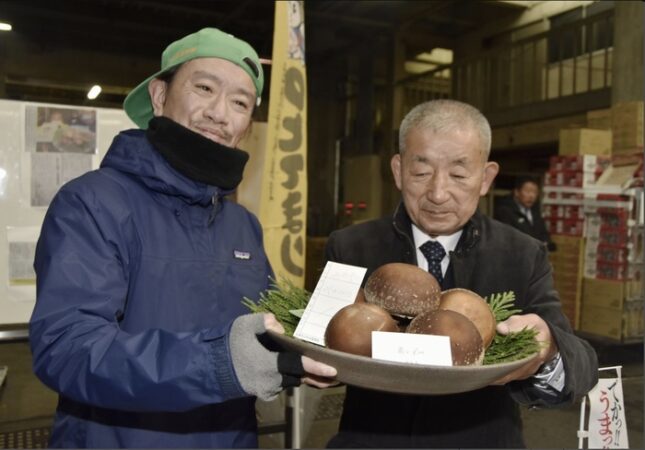 Sa kushtuan gjashtë kërpudha në ankandin japonez?