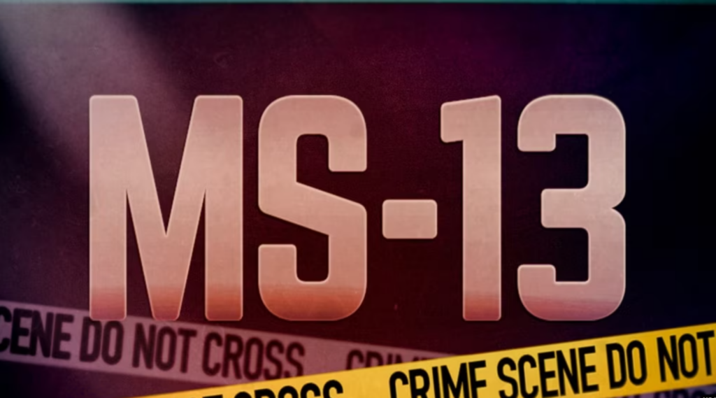 Uashingtoni përcakton si organizata terroriste 8 kartele të drogës në Amerikën Latine