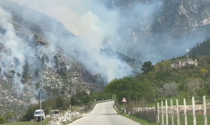 Zjarr pranë Parkut Kombëtar të Llogorasë, era favorizon flakët