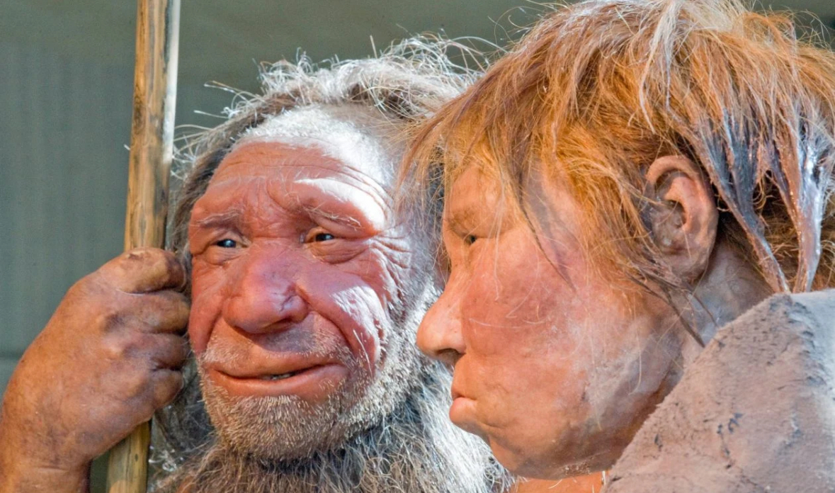 Jeni neandertal? 7 shenjat që tregojnë nëse keni pak nga ADN-ja e tij