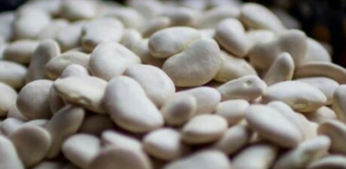 Të mirat dhe të këqijat e fasuleve 