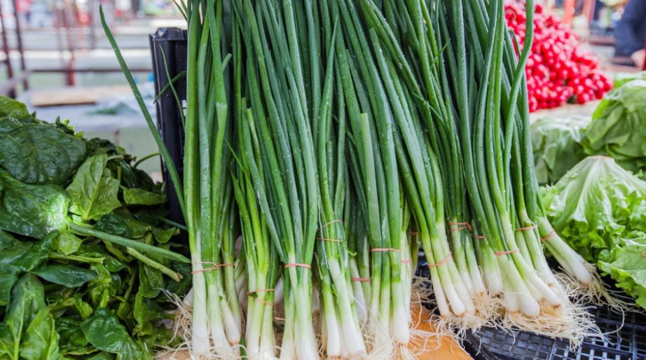 I hani qepët e njoma çdo ditë? Ja përfitimet e jashtëzakonshme në shëndetin tuaj