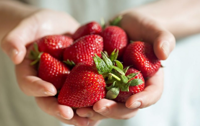 Si të ruani luleshtrydhet që të mos myken