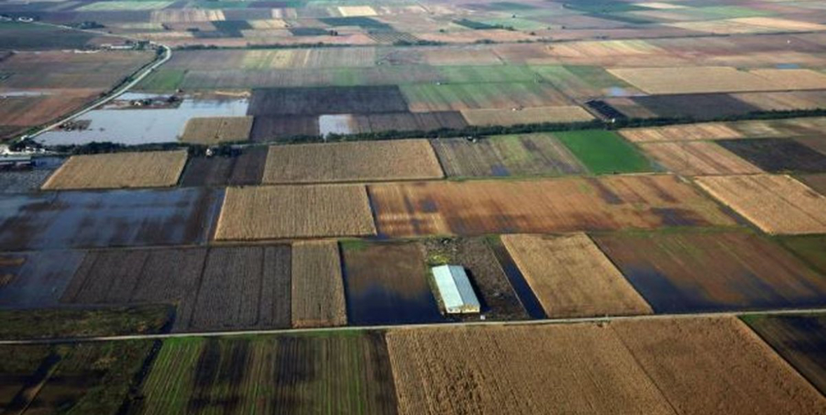 Mashtrime me subvencionet në bujqësi, BE gjobit Greqinë me 400 milionë euro 