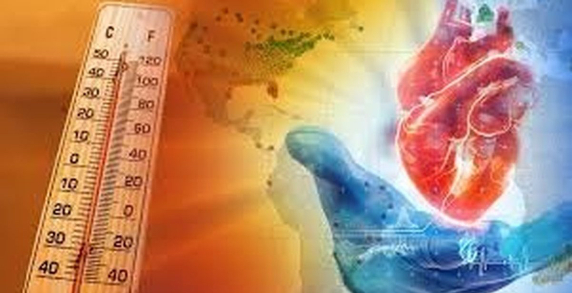 Temperaturat e larta të verës: Cila është temperatura maksimale që mund të përballojë zemra? 