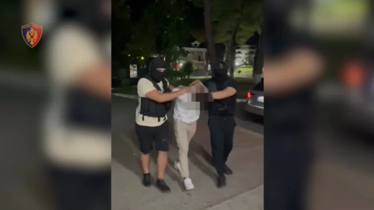 Zbulohen mbi 200 bimë narkotike, 2 të arrestuar! Autorët u kapën “mat” gjatë natës duke u kujdesur për fidanët