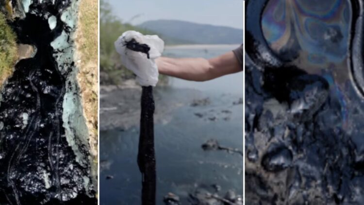 Derdhet naftë në Vjosë/ Ndotet lumi i fundit i egër i Evropës, ngordhin gjallesat