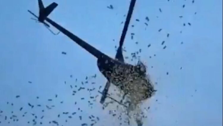 Para nga &#8220;qielli&#8221;, shoferët braktisin makinat për t&#8217;i mbledhur (VIDEO)