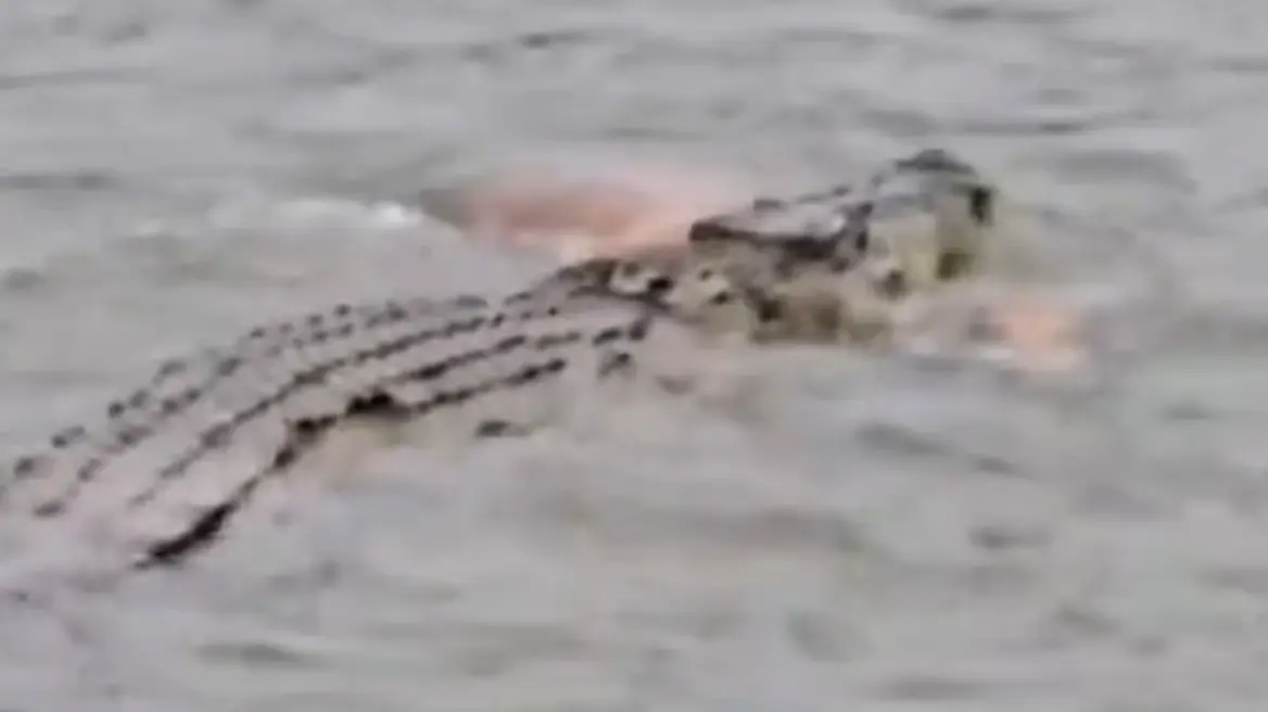 VIDEO/ 80-vjeçari sulmohet për vdekje nga një krokodil teksa po lahej në lumë