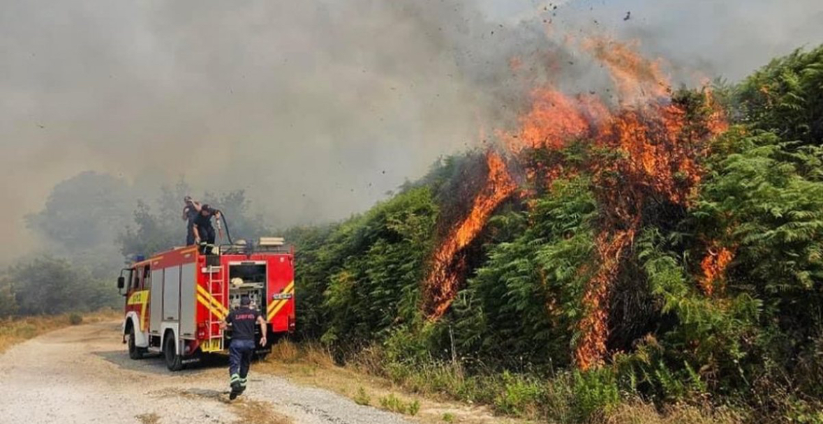 Situata e zjarreve në vend/ 14 vatra të raportuara, 10 të shuara dhe 4 ende aktive 