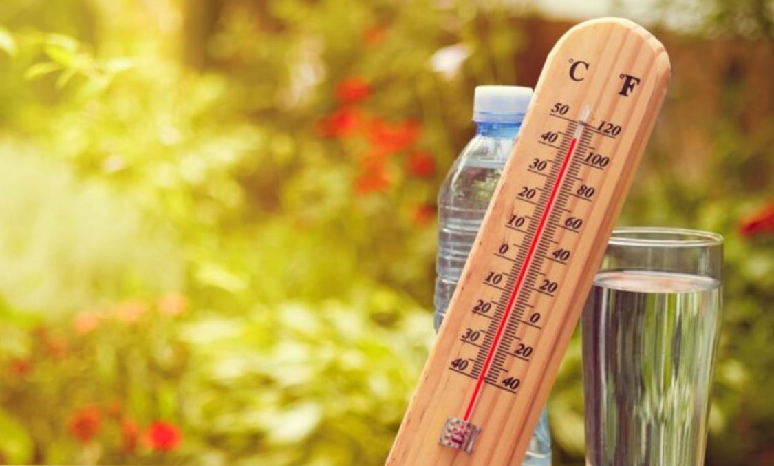 Parashikimi i motit, 7 korrik 2025