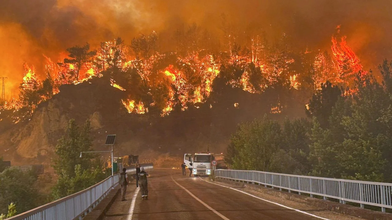 Zjarret në Mesdhe, 24 viktima, 65 mijë të evakuuar