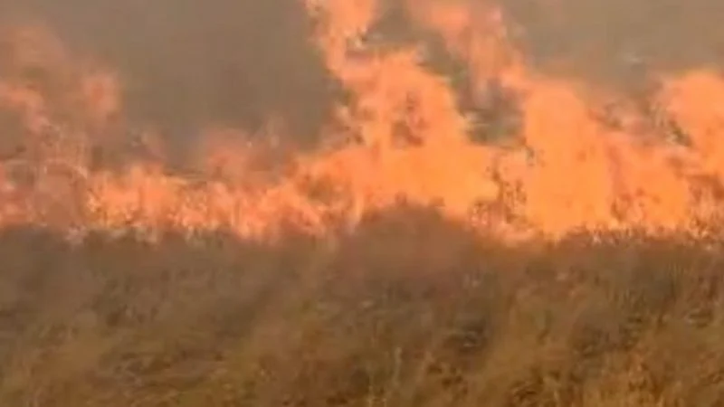 Flakët e Delvinës përhapen në Gjirokastër, kërcënim serioz për disa fshatra