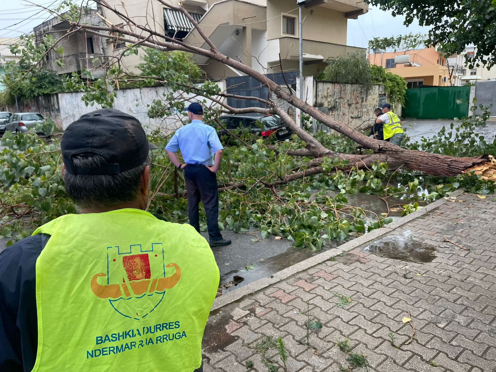 Stuhia këput pemë në Durrës, Sako: Njësitë tona janë të gjitha në terren
