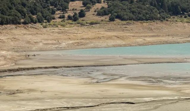 Evropa e prekur këtë verë nga thatësira rekord