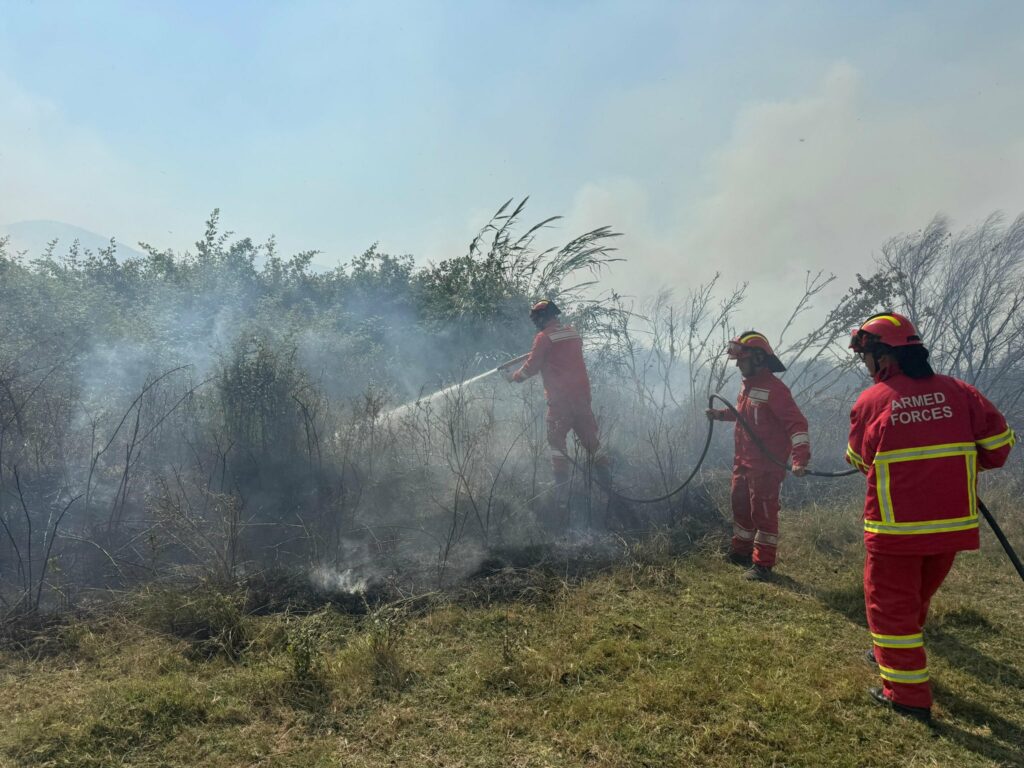 7 vatra zjarri ende aktive në vend, situata më kritike në Vlorë
