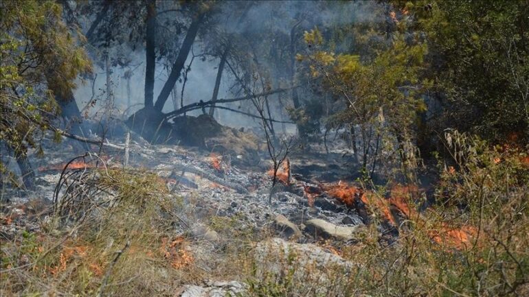 Temperaturat e larta shkaktojnë zjarre masive në Bosnje e Hercegovinë