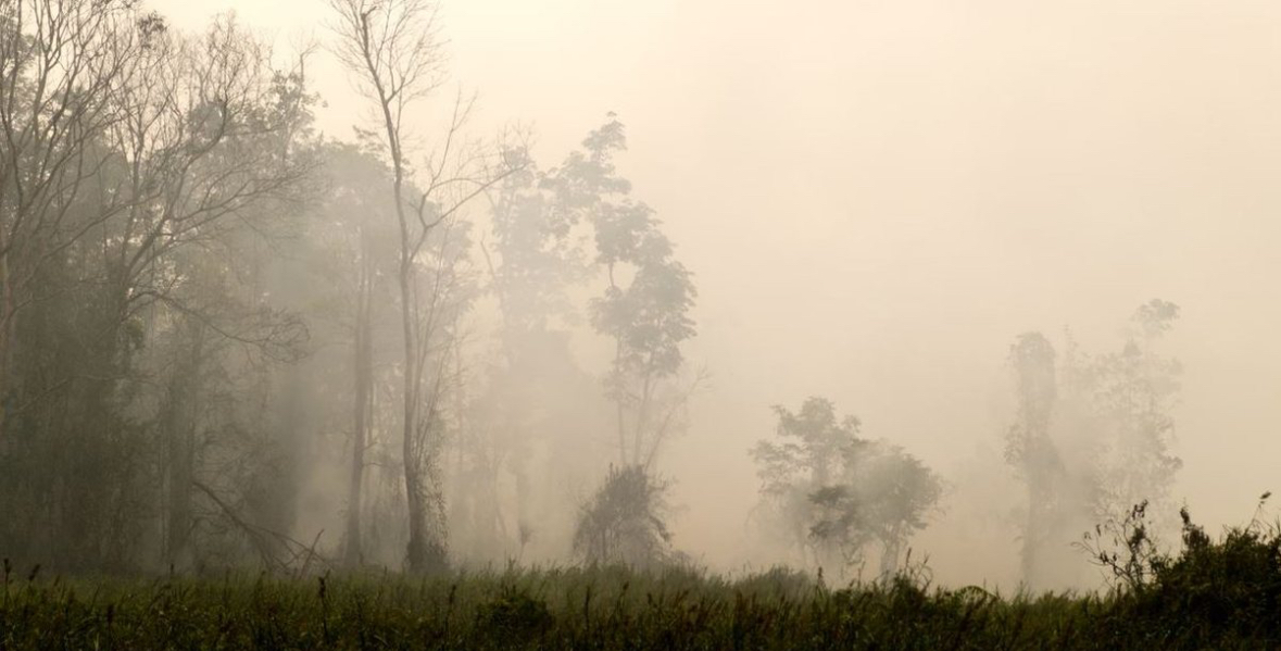 “Stinët nuk ekzistojnë më”, studimi: Aktiviteti njerëzor po sjell stinë të reja 