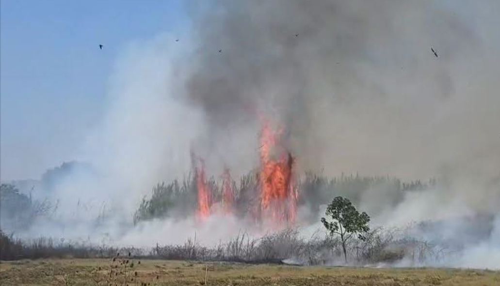 Dy vatra zjarri në Fier, flakët përfshijnë sipërfaqe të mëdha me toka bujqësore