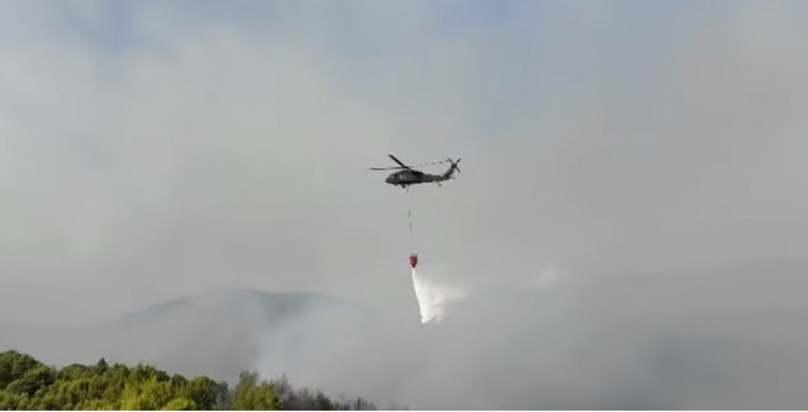 Zjarr në pyllin me pisha mes Patosit e Mallakastrës, Balluku: Zjarrvënia e qëllimshme dënohet nga Kodi Penal 
