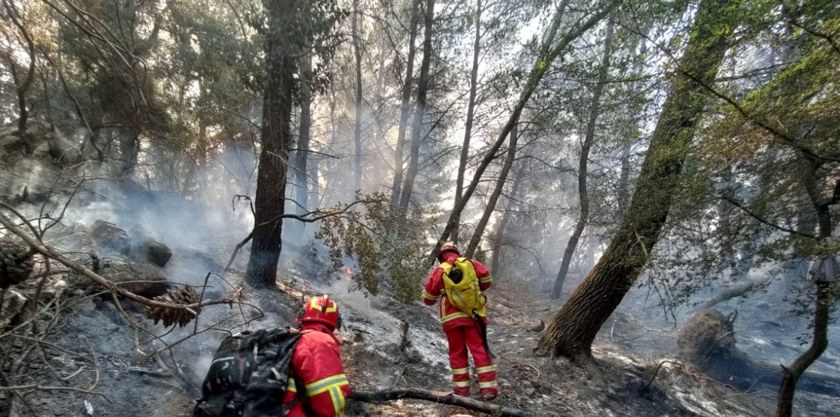 Zjarret në vend, Mbrojtja: Gjatë orëve të fundit janë evidentuar 21 vatra, 14 ende aktive 