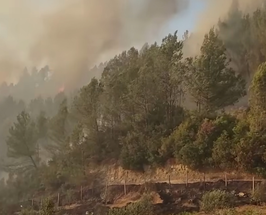 Zjarr masiv në drejtim të Poliçanit, evakuohen të moshuarit nga azili