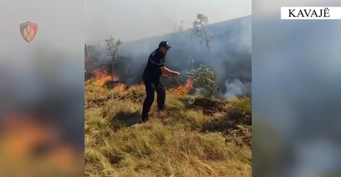 Kavajë, ndezën zjarre në fshatrat Peqinaj dhe Zhabjak, arrestohen 3 persona