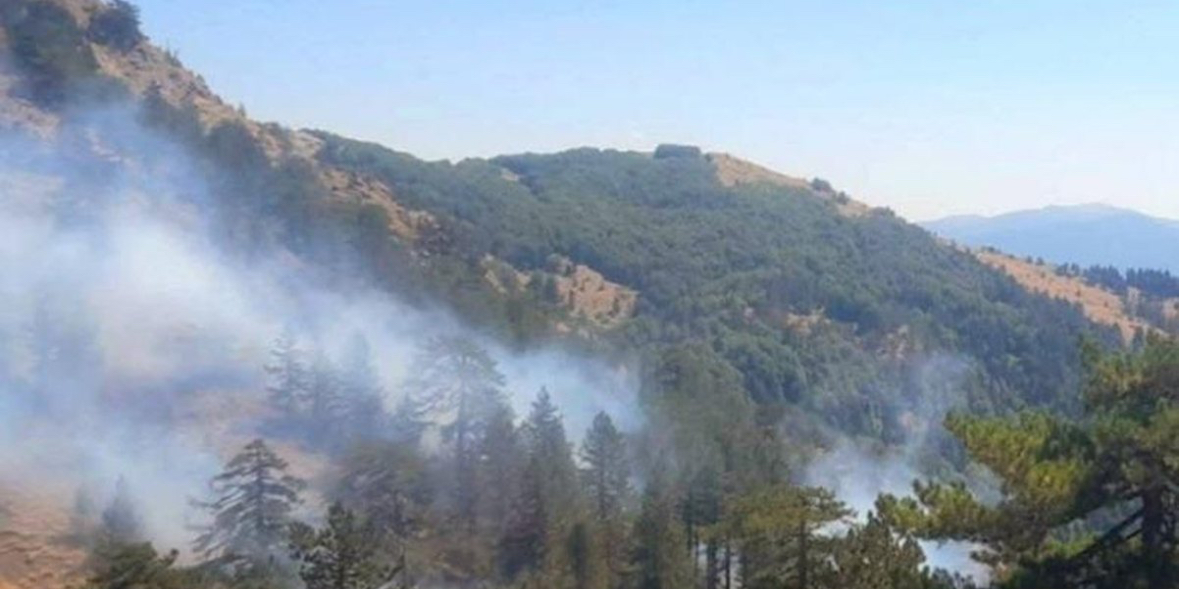 Vatra e zjarrit në Gërmenjë/ Flakët përhapen drejt territorit grek, terreni i rrezikshëm për shkak të minave 